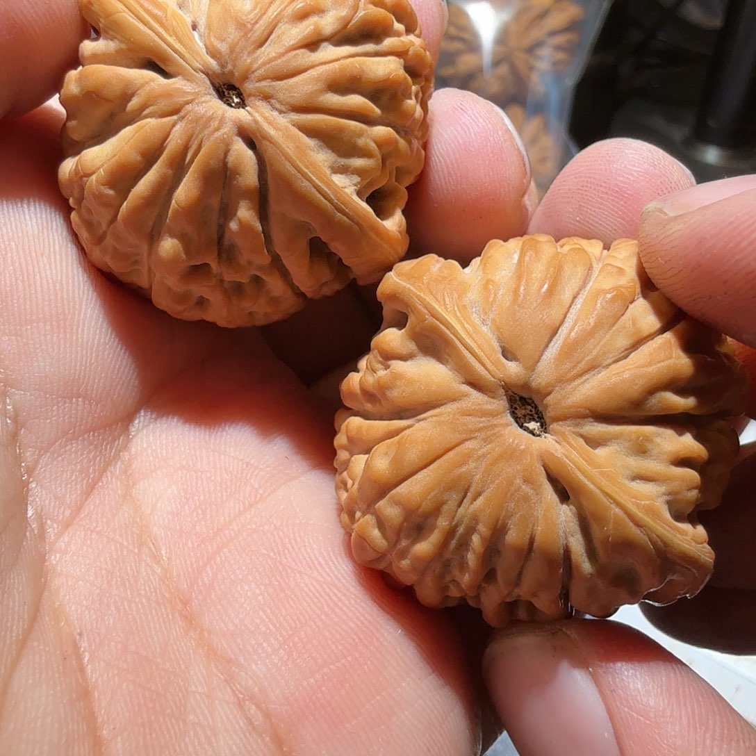 文玩核桃把件?****哥莲花