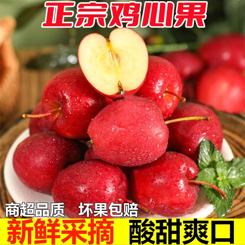 东北鸡心果锦绣海棠酸甜多汁新鲜采摘小苹果