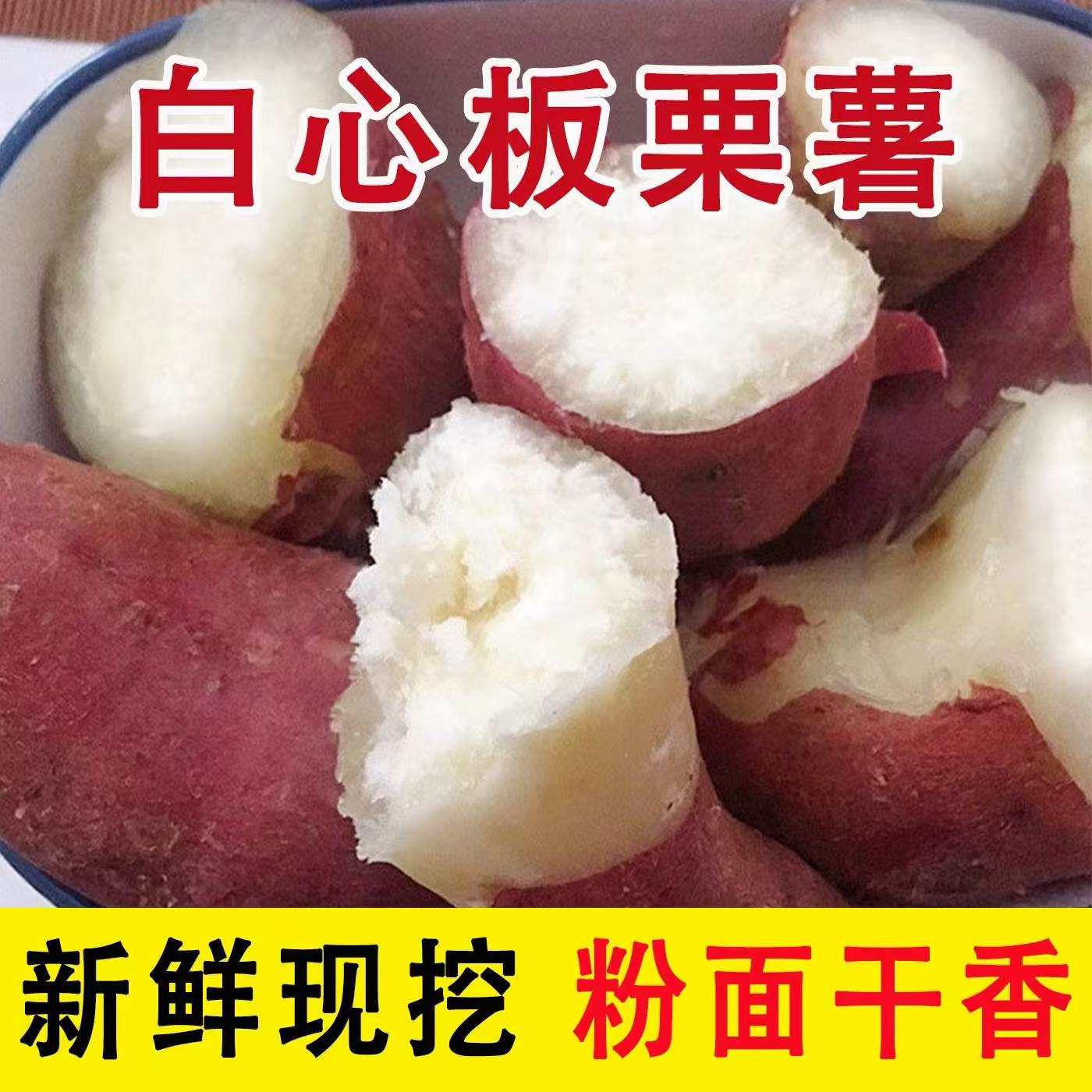 河南正宗沙地现挖白芯板栗红薯粉面干香无筋无丝红薯