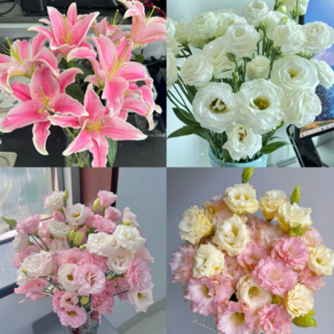 云影优选【双头粉色百合3支+随机洋桔梗3支+登高草5支】云南鲜花批发次日达包邮