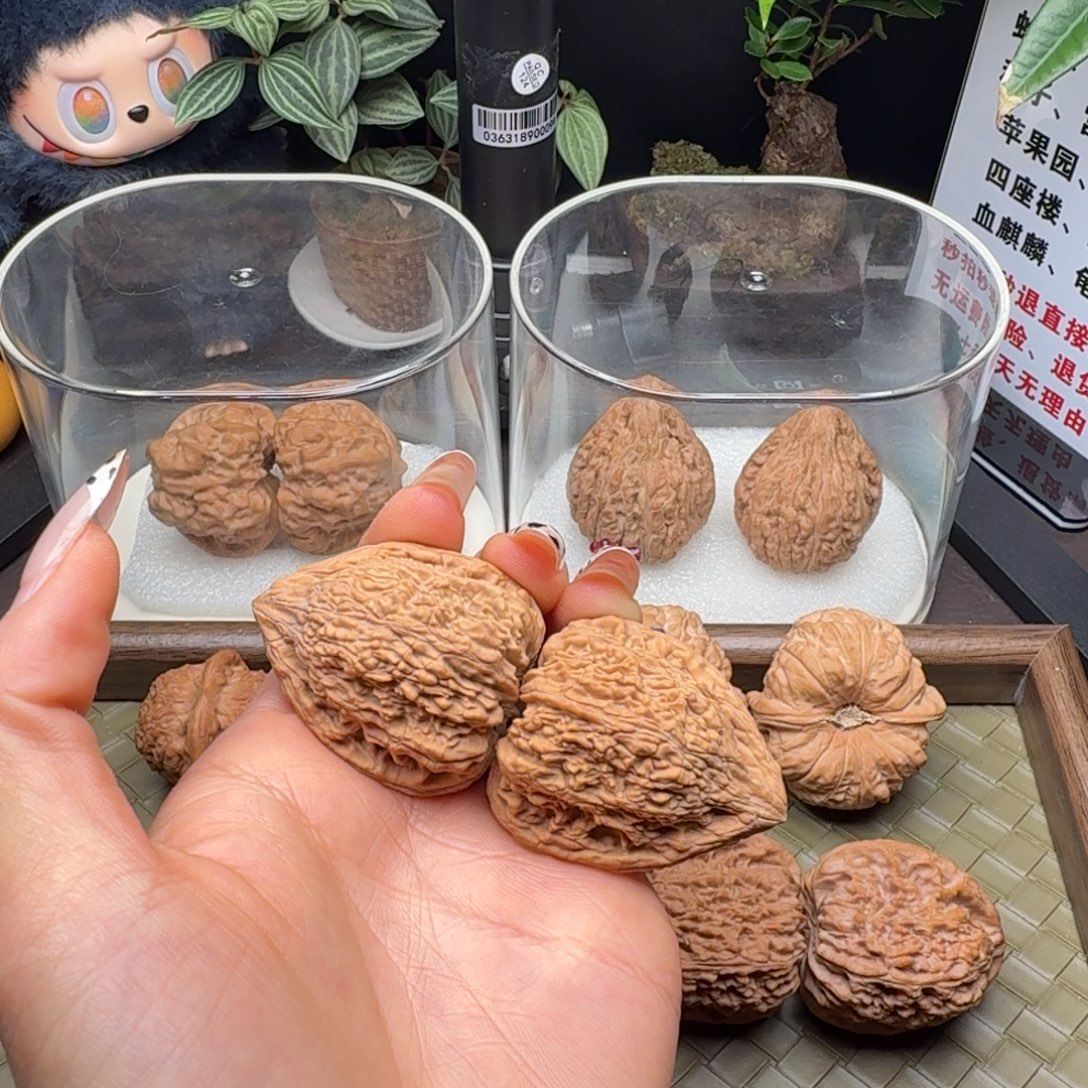 *****核桃全品塔尖36尺