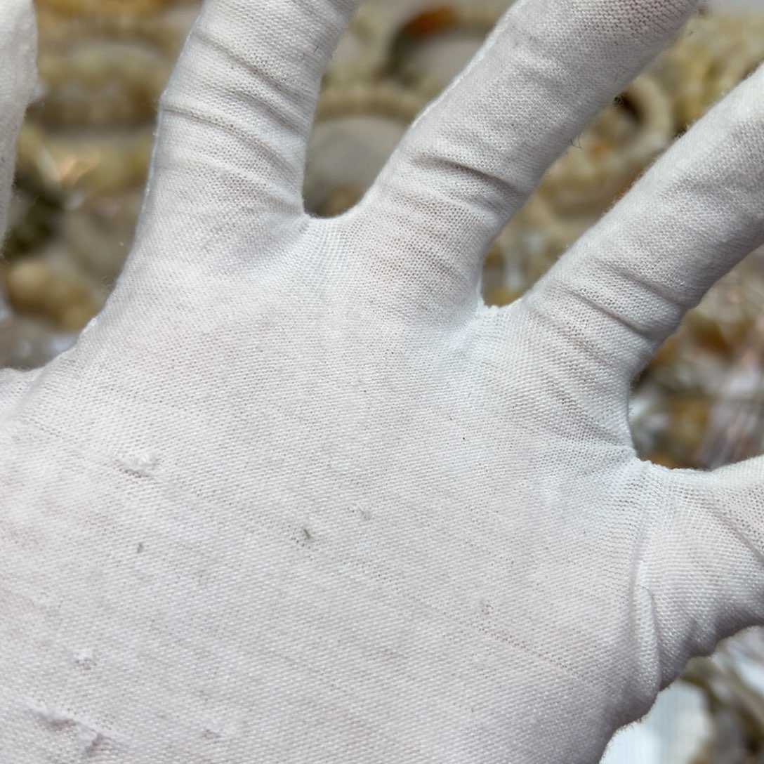 林***宝吊坠菩提根/象牙果蓝白编绳跑环一个