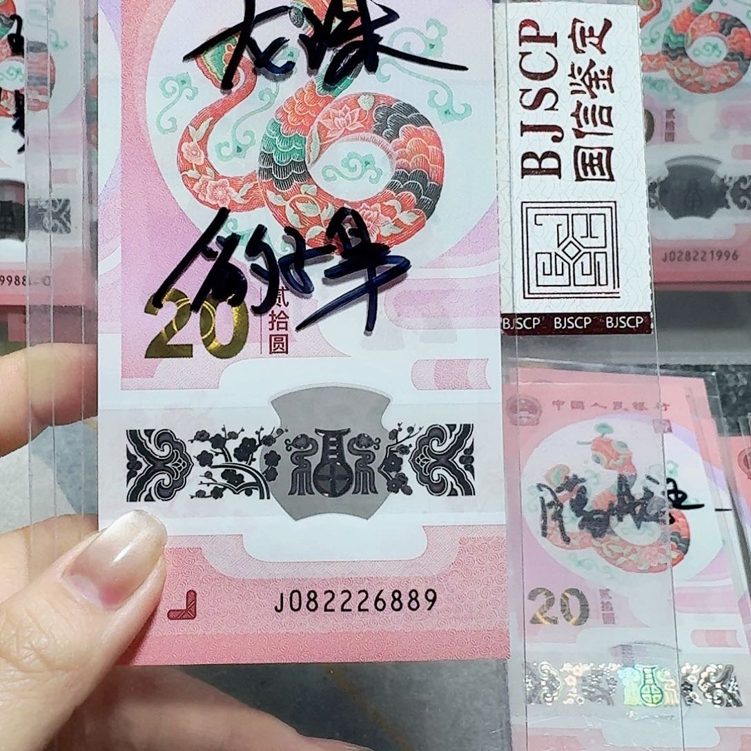 塑料082226889。。。。。龙珠 豹子身