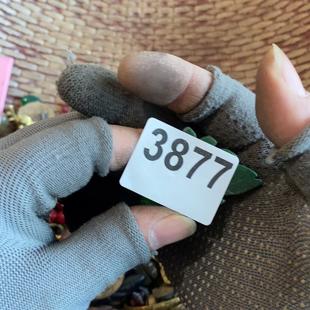 绿***翠光明的未来是一个3877