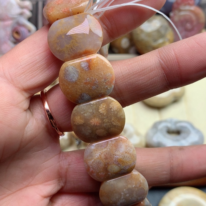 硅化珊瑚（珊瑚玉）颈饰未镶嵌