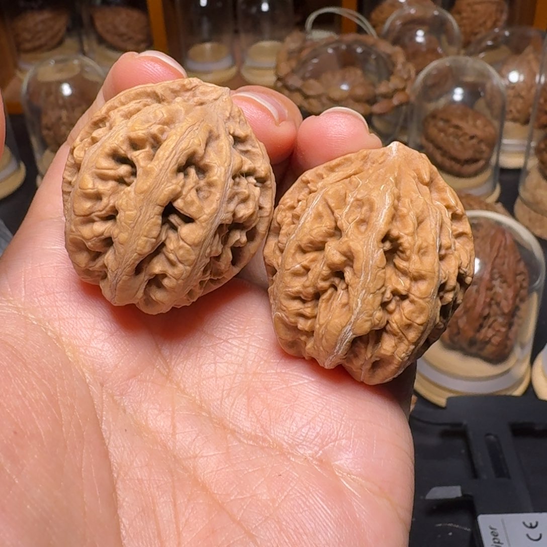 文玩核桃把件蚂蚁龙珠 福利