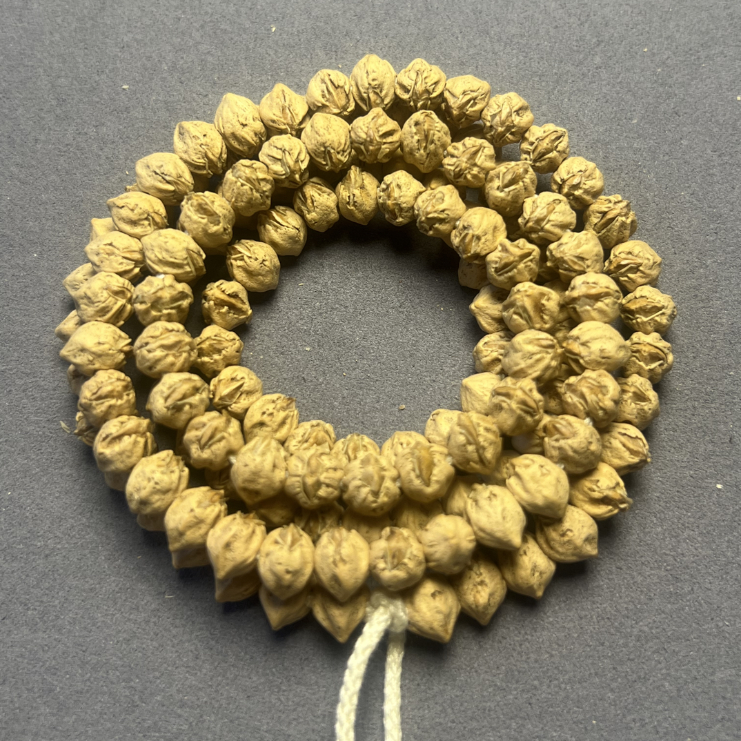 热振柏香籽【食人花】白芽横打纯原桩108长串7mm左右