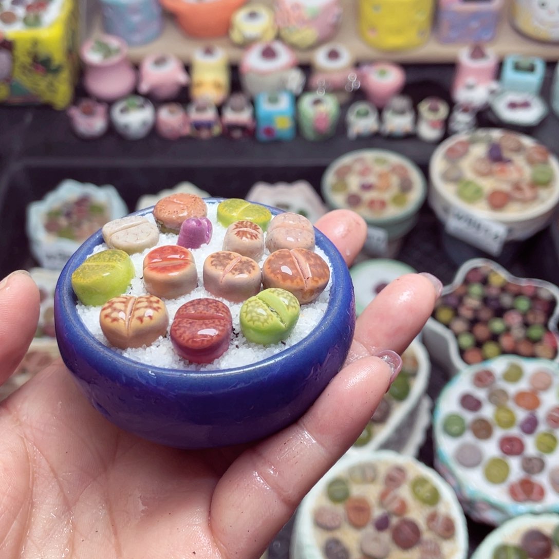 w9936 带盆土发货 -零下地区拍保温箱