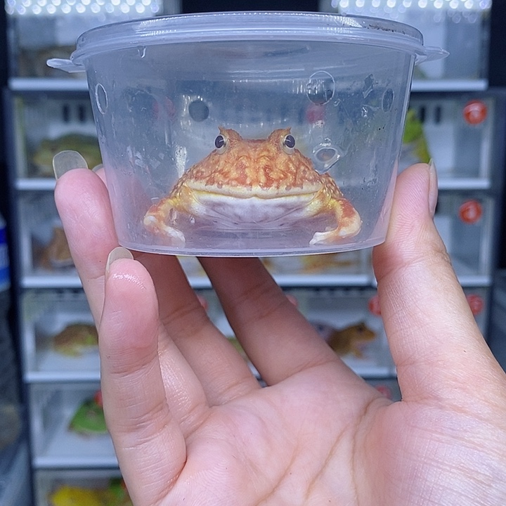 特价秒杀现货特价