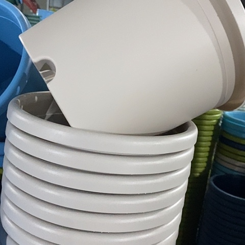 树脂四季4号灰白无托8个