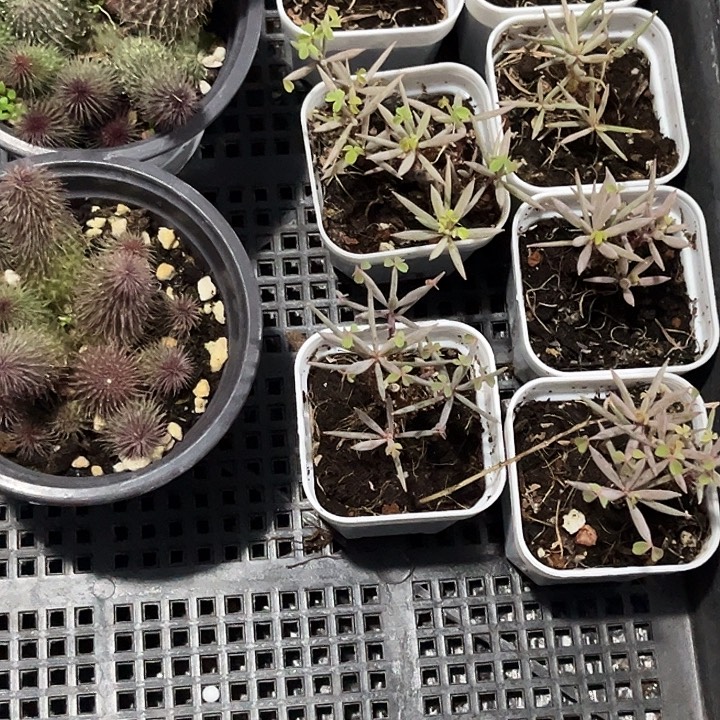 ****ᵁ定向熊仔zzzzzzzz