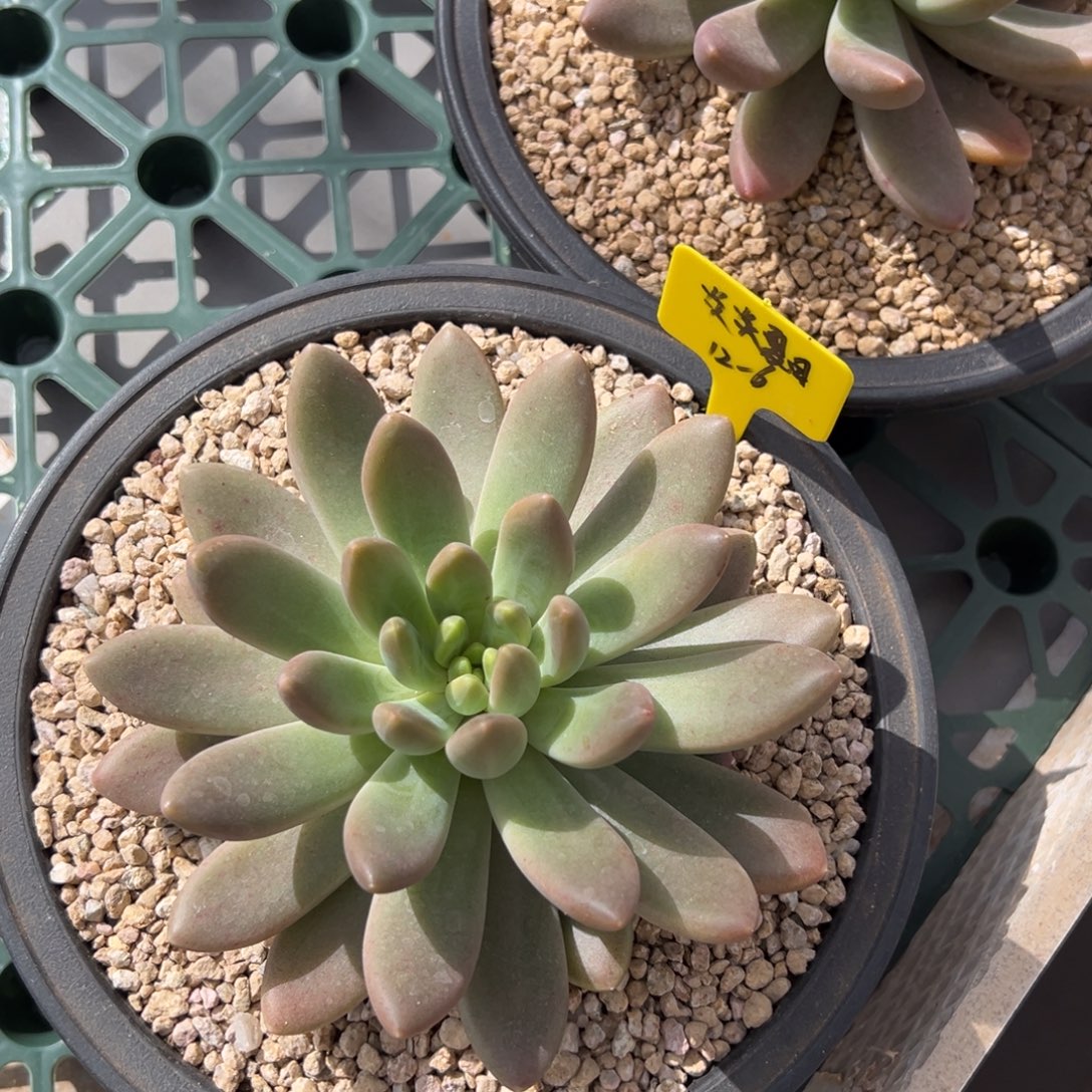 12611111111111111111111