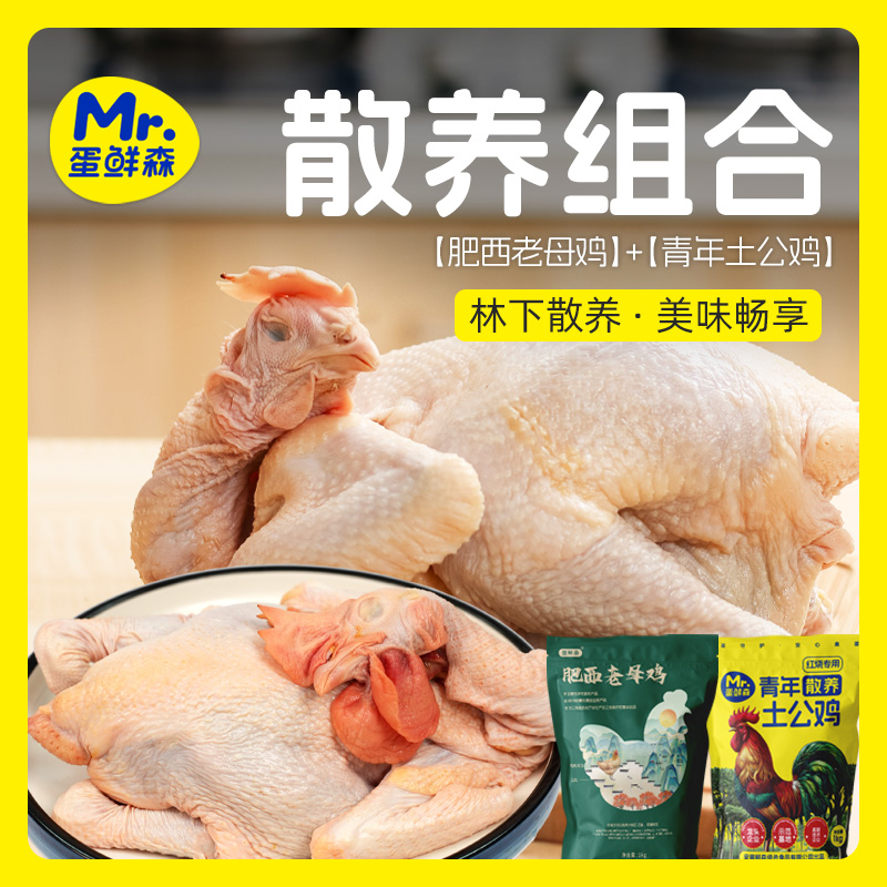散养组合 蛋鲜森散养肥西老母鸡1只+青年土公鸡1只（单只两斤以上）