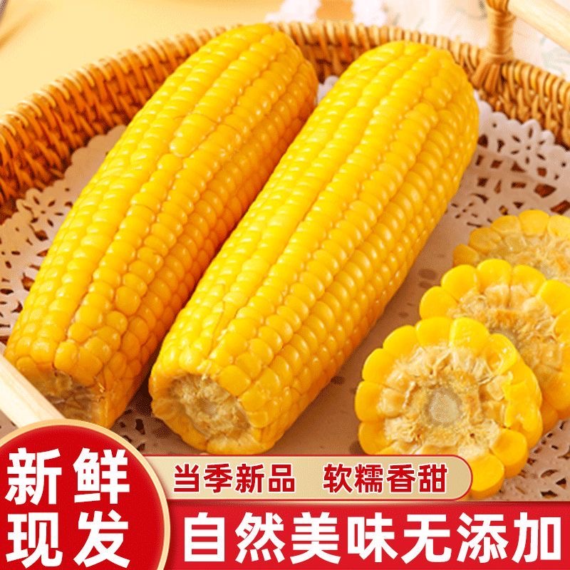【试吃3根】东北香甜黄糯玉米9-10根大棒整箱5-6斤独立真空装