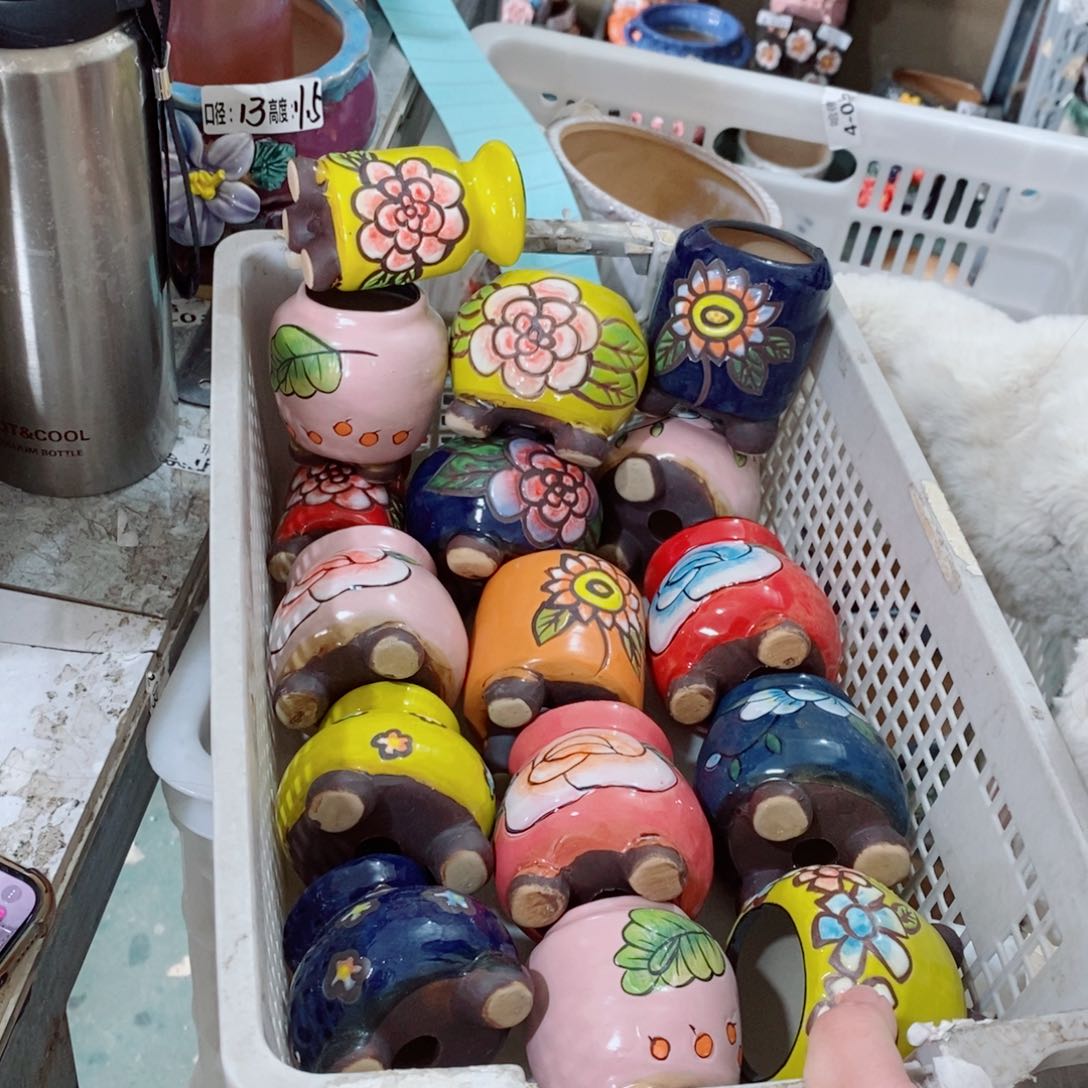 红陶845 福利福利福利