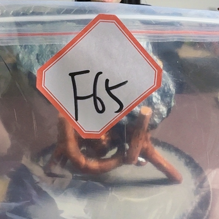 诚***信蛇纹石玉未镶嵌天然岫玉