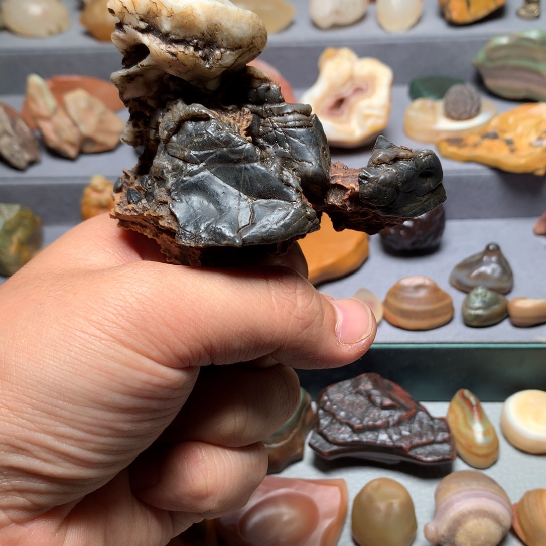 有机玻璃阿拉善戈壁滩奇趣小摆件