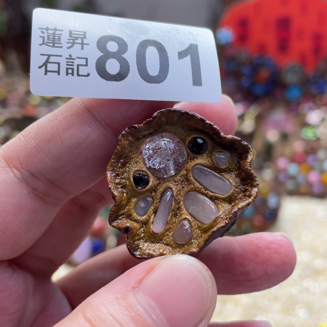 核桃木/黑胡桃（胡桃木）801