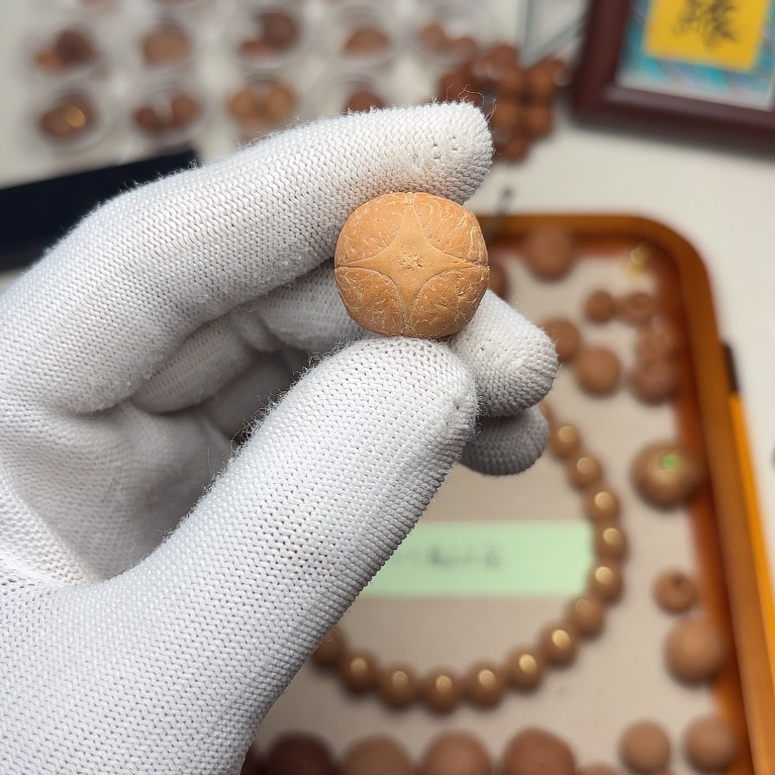 手串凤眼菩提麒麟三通2.0