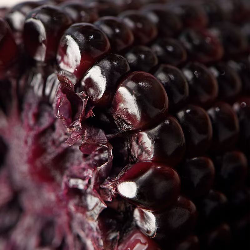 （试吃4根）【整箱7.5-8斤】东北正宗黑糯玉米12大棒香甜单支