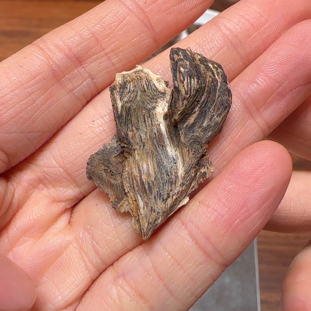 沉香碎屑沉香奇楠虎斑棋1克