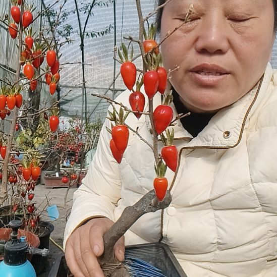 财***哥无花朵1566555685899