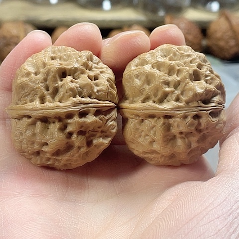 文玩核桃把件麻铁带彩41