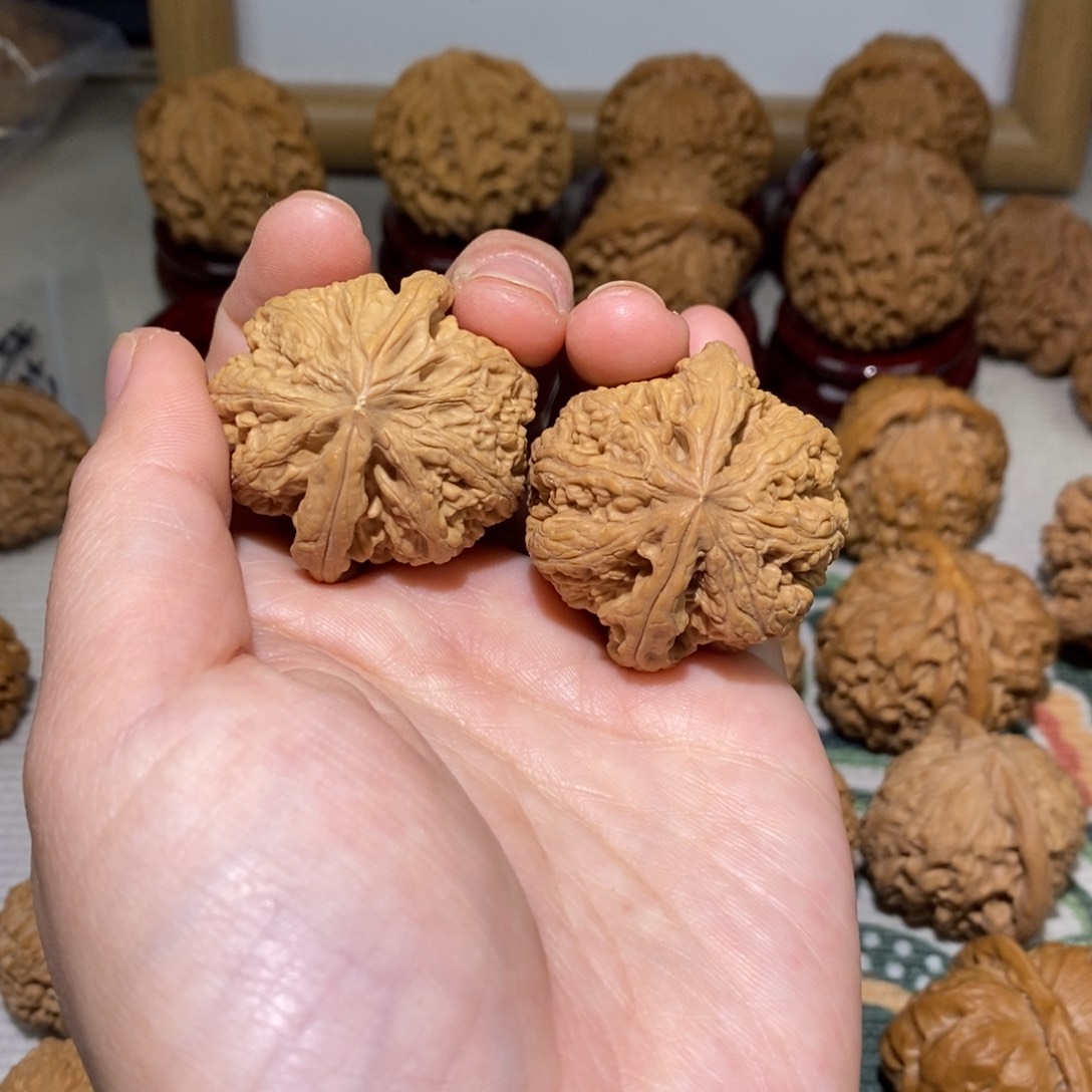 文玩核桃把件36尺粗筋