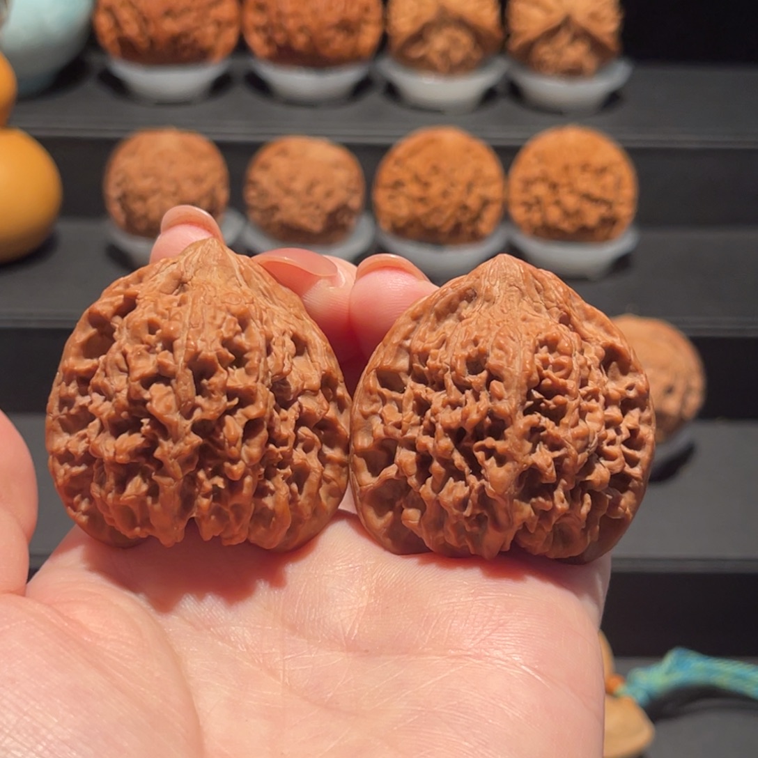 满天星41精品，全品510