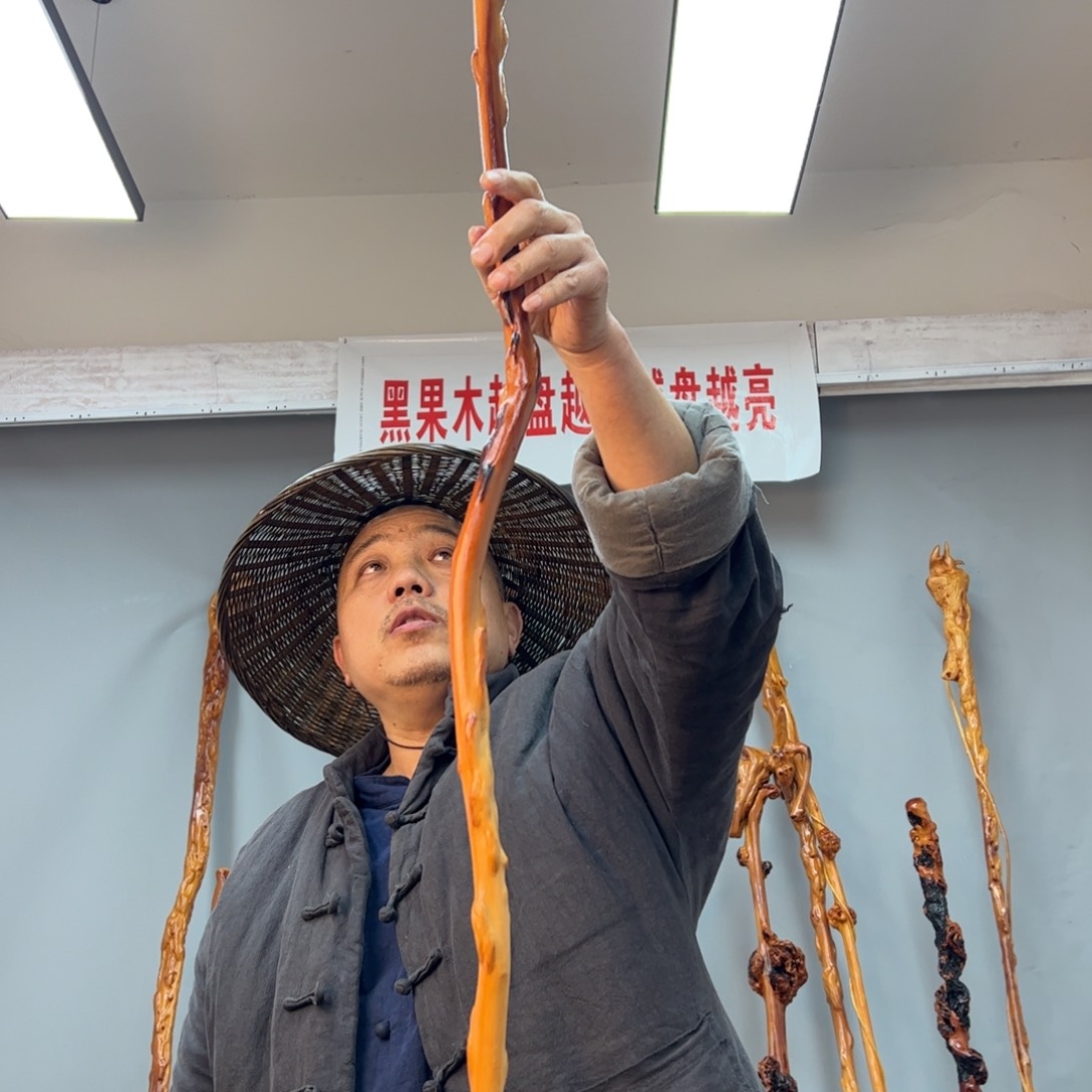 黑果木其他黑果木297