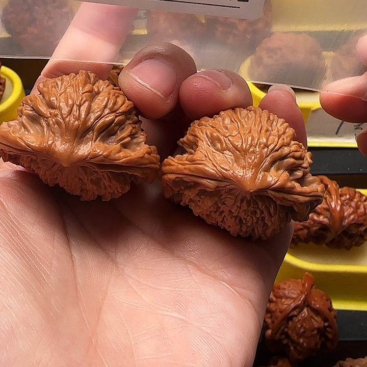陈***吊坠文玩核桃蛇王虎头39