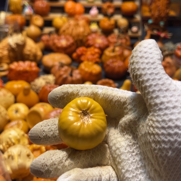 A****?椅子和墨西哥疙瘩