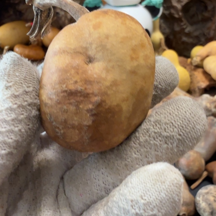 酒***子666677777778888999