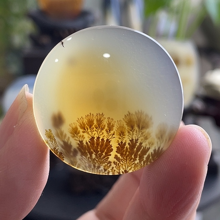 玛瑙/玉髓未镶嵌珠宝半成品