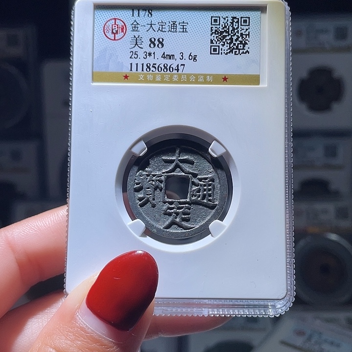 铜轩缘 白铜大定通宝编号8647