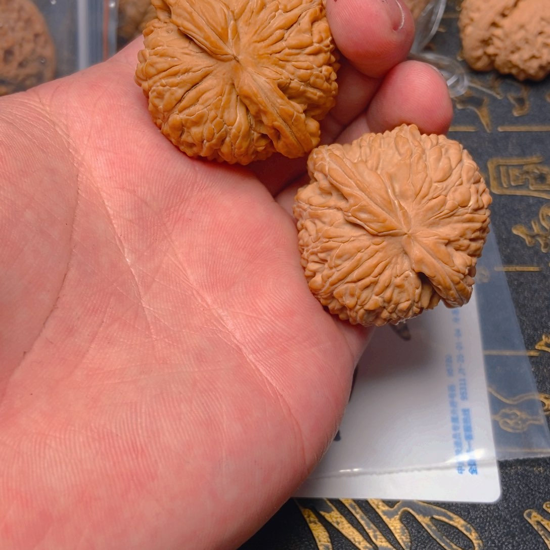 文玩核桃把件ㅤ白狮子