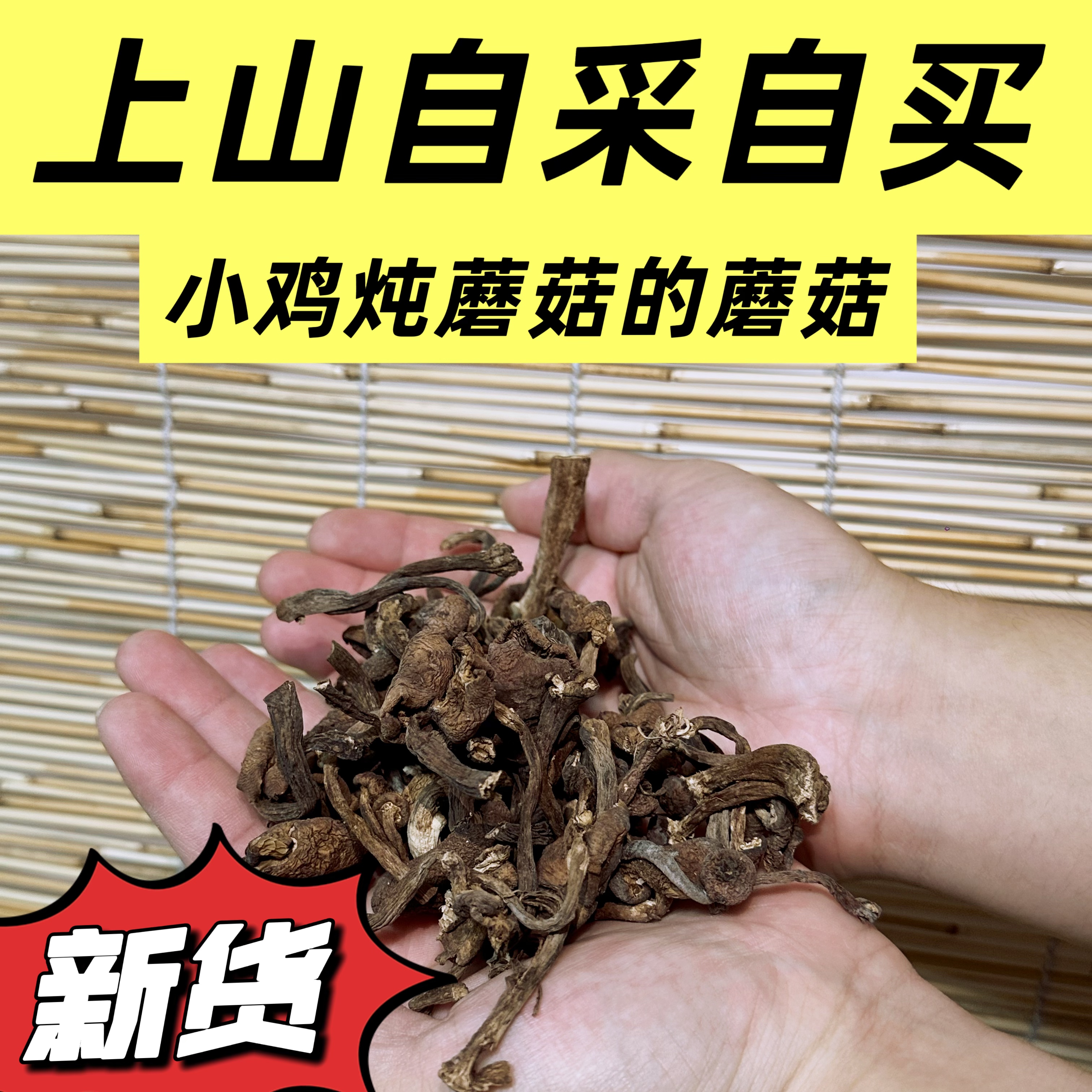 东北野生榛蘑 口感鲜美 去根干货 自然晾晒