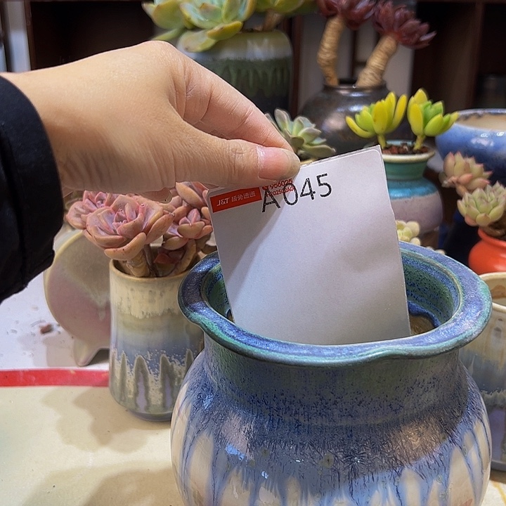 景德镇陶瓷研究所