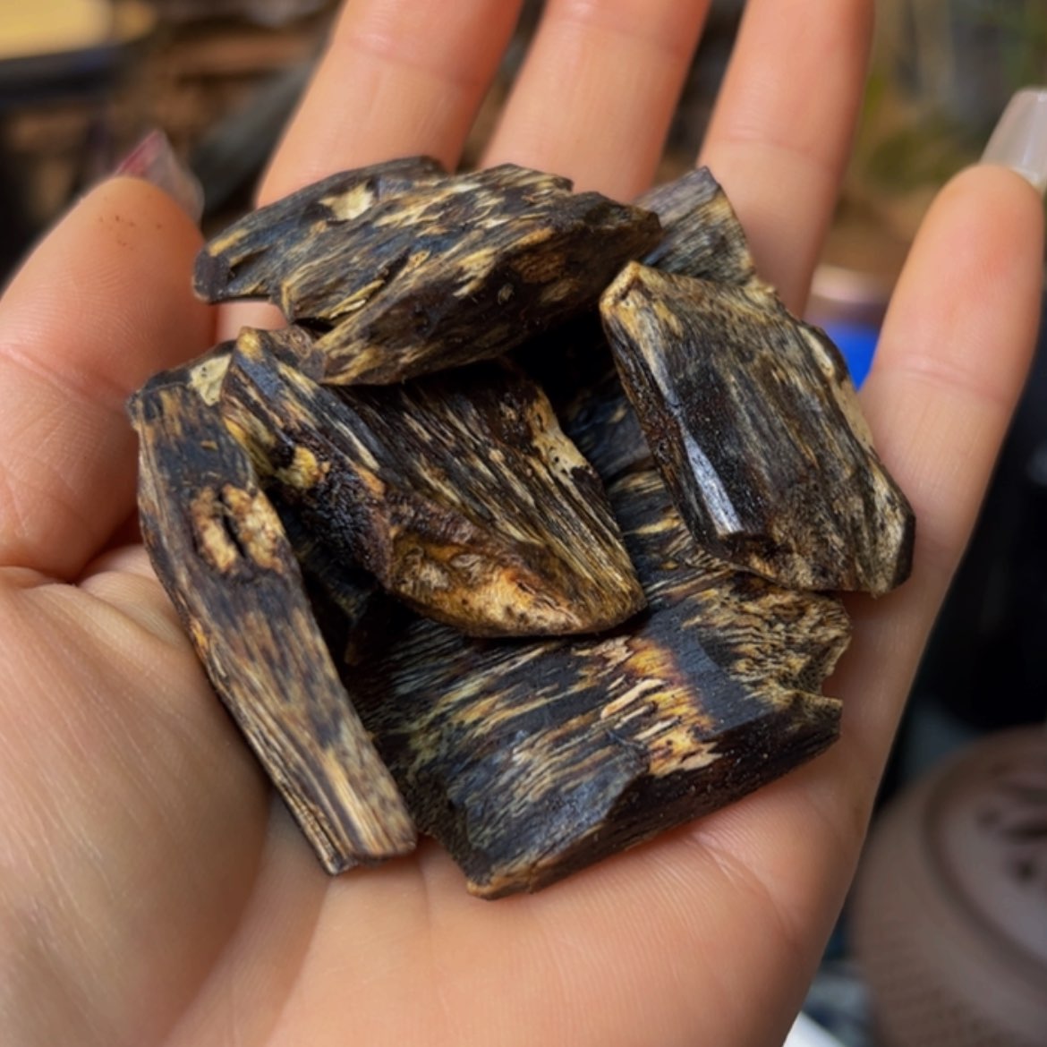 【闪购商品】沉香手把件奇楠陆河高端老块料32克