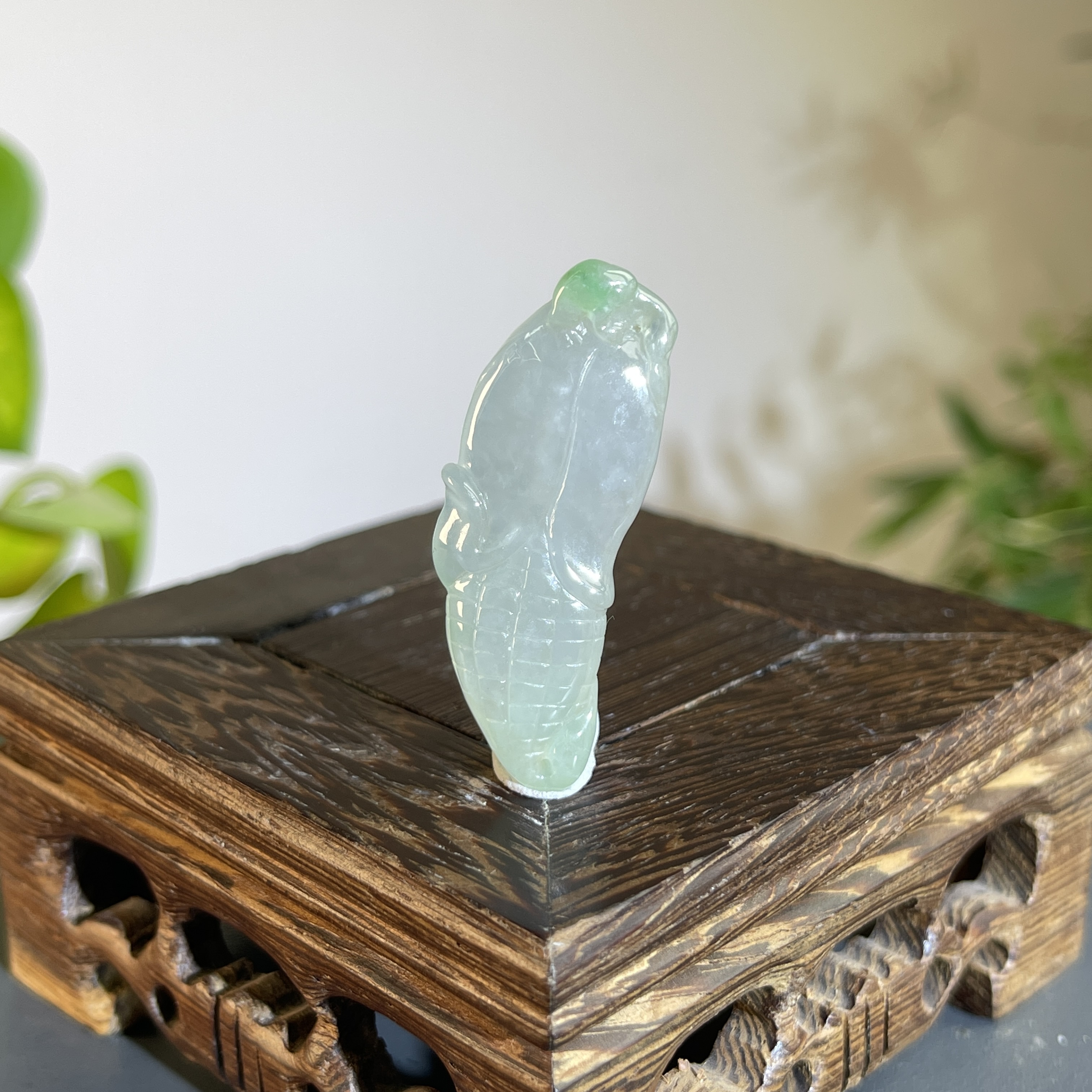 JXW20-97   天然缅甸A货翡翠    多子多福