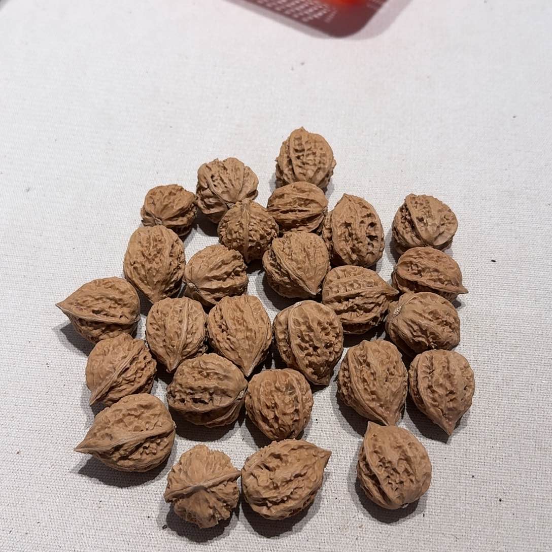 核桃手串/手链4号大小都有5元