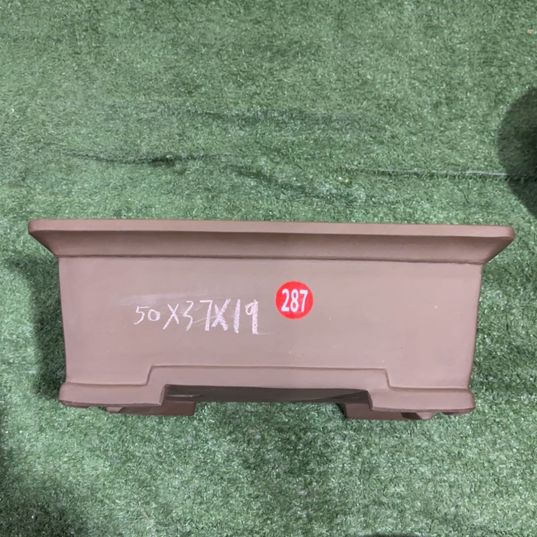 紫砂花盆我呜呜呜呜我好