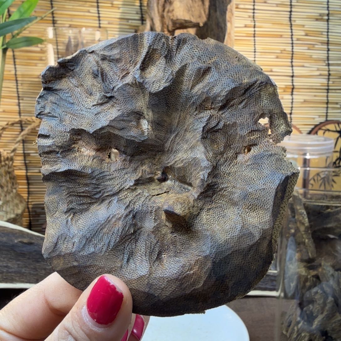 沉香沉香碎屑沉香包头20g