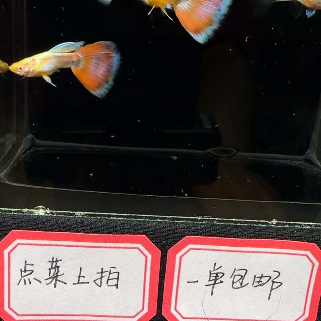 欧意火烧云飞船2对