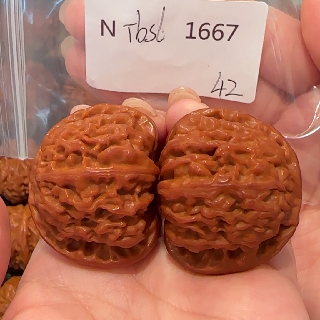 桃核把件⭐**⭐白狮子42精品