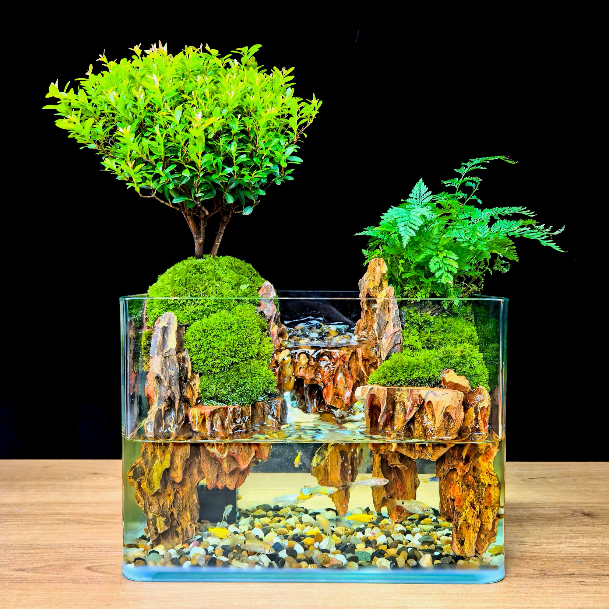 松皮石方流水景观绿植造景创意景观组合鱼缸可养鱼