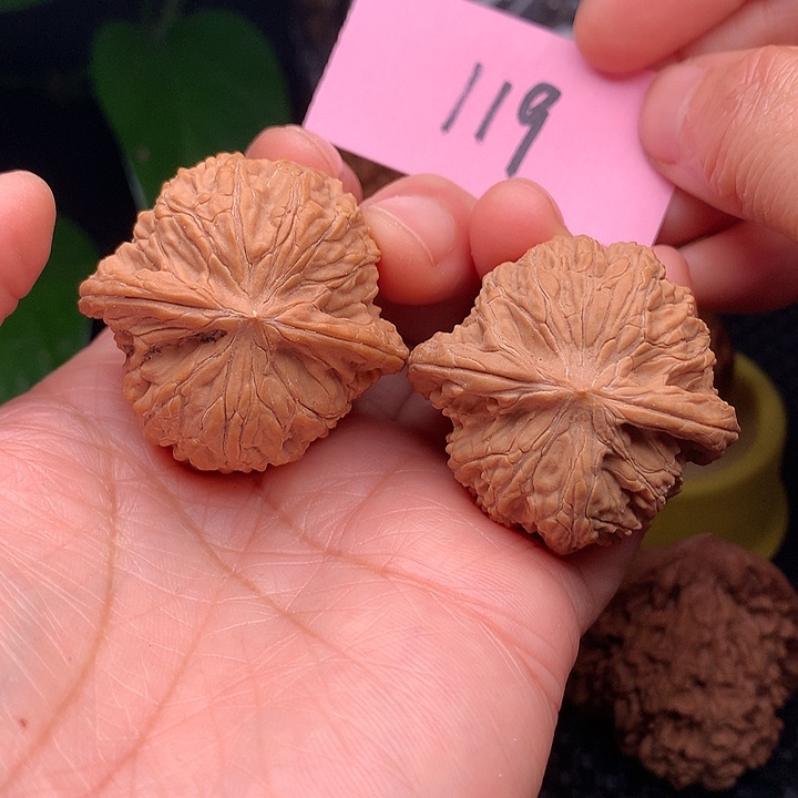 【闪购商品】把件文玩核桃38磨盘119