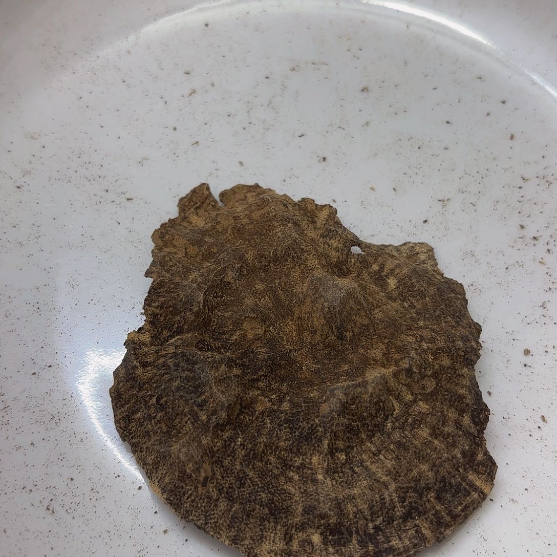 沉香沉香碎屑海南包头7克