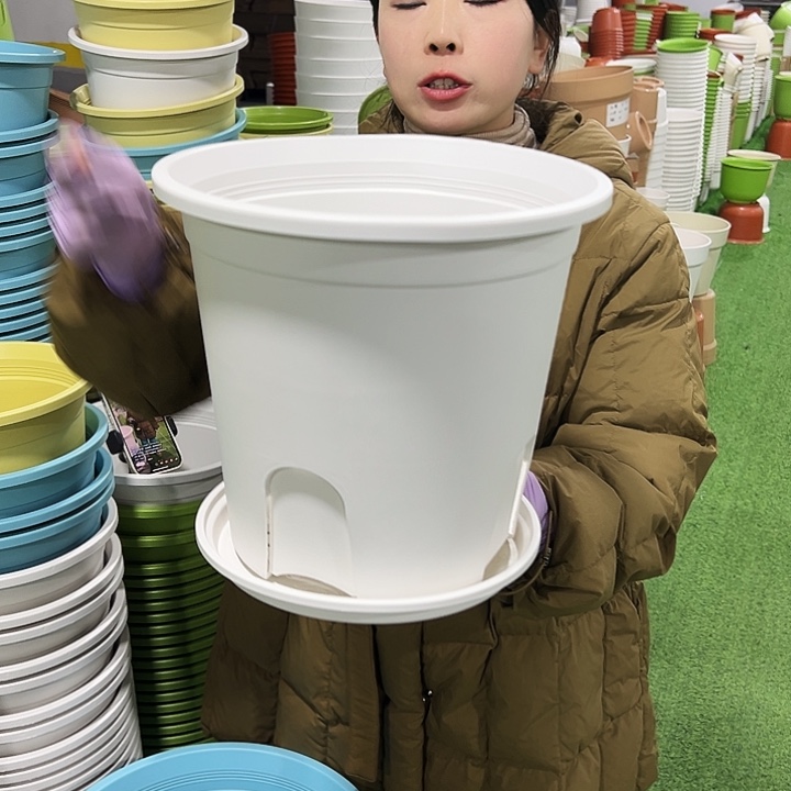 正品圆控口30高27白色4只带托