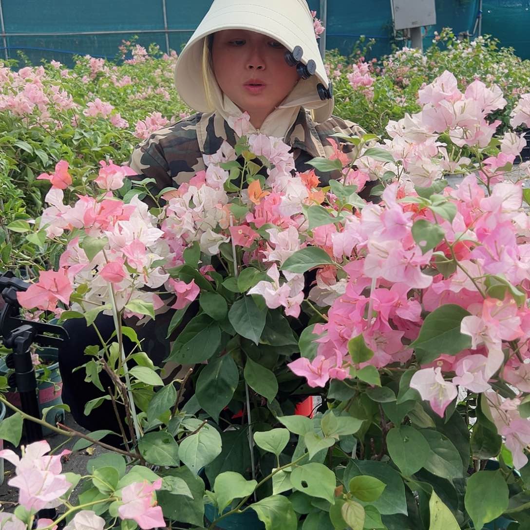 当前无花栽培后可以开花橙口红一棵